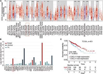 CXCL11 Correlates With Antitumor Immunity and an Improved Prognosis in Colon Cancer